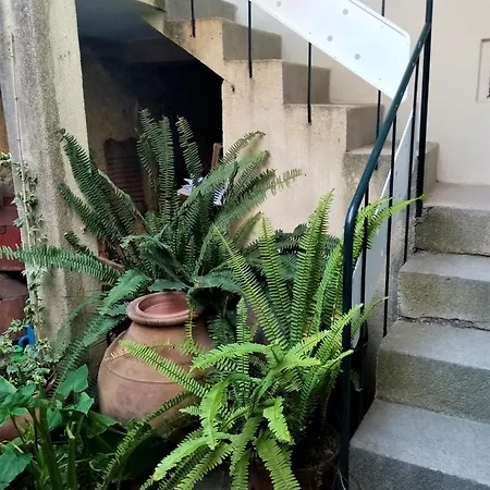 Casa Da Judiaria Velha Ap Viseu