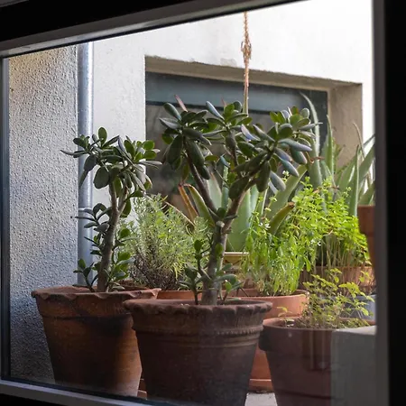 Apartment Casa Da Judiaria Velha Ap