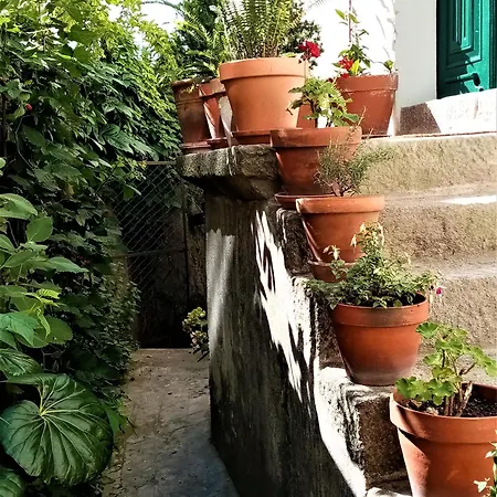 Casa Da Judiaria Velha Ap * Viseu