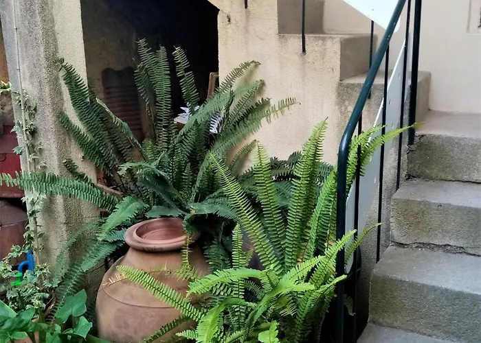 Casa Da Judiaria Velha Ap Viseu