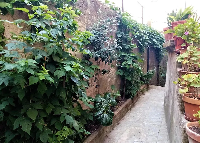 Casa Da Judiaria Velha Ap Appartement Viseu