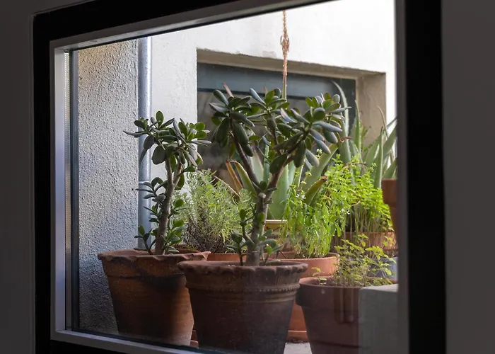 Appartement Casa Da Judiaria Velha Ap