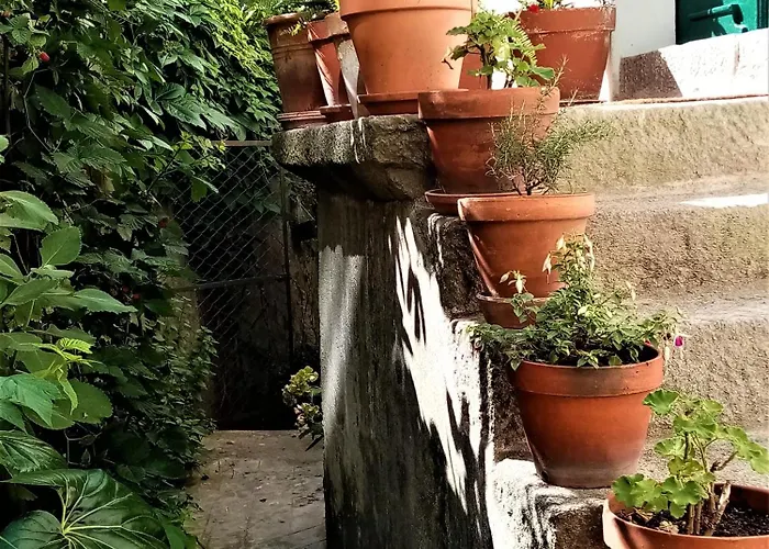 Casa Da Judiaria Velha Ap * Viseu